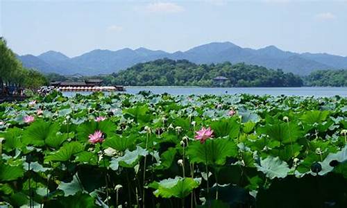 杭州夏天热吗?_杭州夏天的天气怎么样