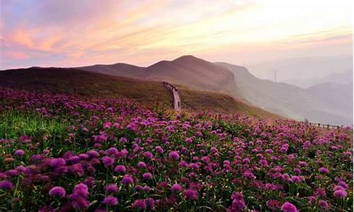 贵州毕节赫章韭菜坪天气_贵州省赫章县韭菜