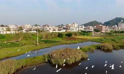 海丰天气预报下载_海丰县天气好文案