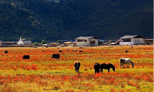 香格里拉9月天气_九月的香格里拉天气怎样