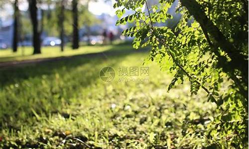 这样天衣无缝的晴朗天气_这样天衣无缝的晴朗天气英文