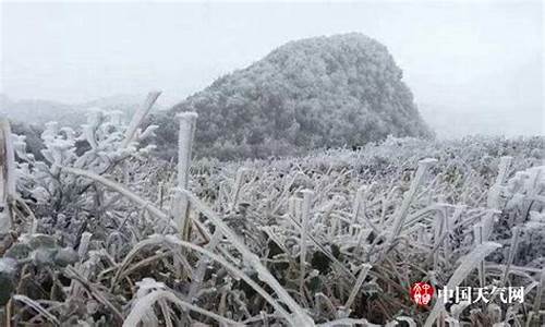 广西冬天柳州天气如何_柳州天气冬天冷吗