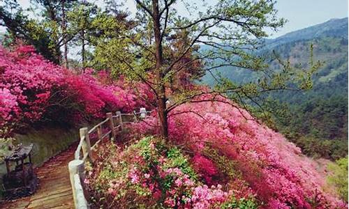 武汉木兰云雾山天气_武汉木兰云雾山天气预报