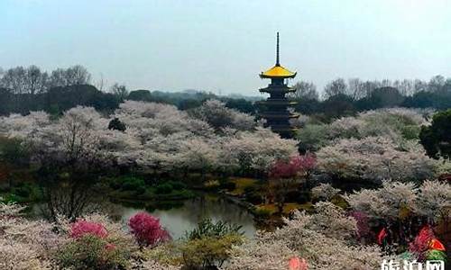 清明那种天气适合赏花_qq怎么快速清空聊天列表