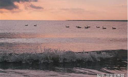 黑马河30天天气预报_黑马河 天气预报